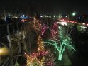 Toledo Zoo Lights 2008 029